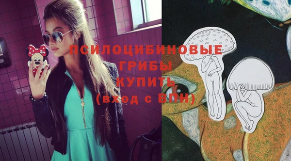 ГАЛЛЮЦИНОГЕННЫЕ ГРИБЫ Алзамай