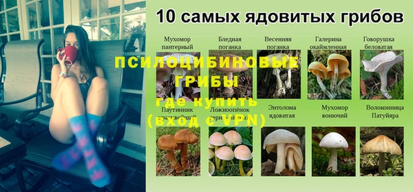 ГАЛЛЮЦИНОГЕННЫЕ ГРИБЫ Алзамай