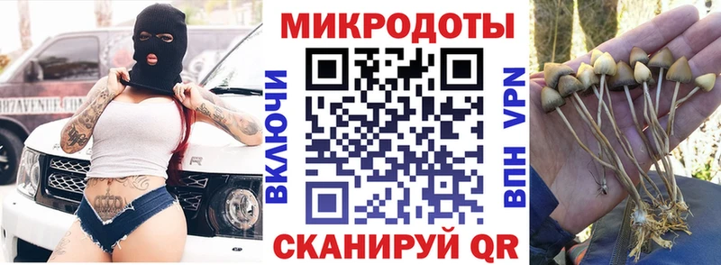 Галлюциногенные грибы Magic Shrooms  Саров 